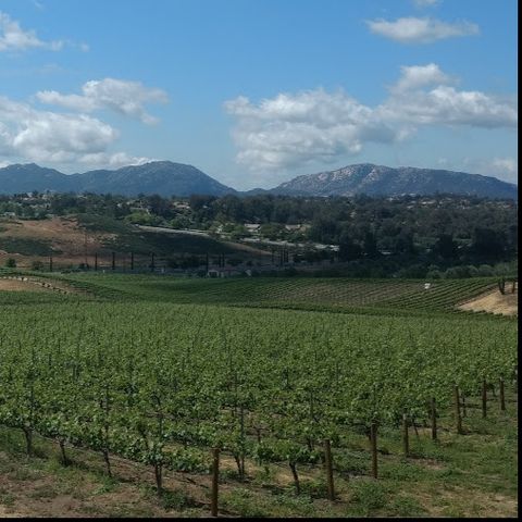 Southern California's Temecula Valley Wine Country - Big Blend Radio Interview with Hilarie Larson