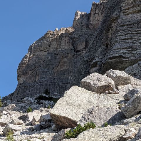 Le impronte di dinosauri sul Monte Pelmetto (BL) - Intervista con il Professor Paolo Mietto dell'Università di Padova