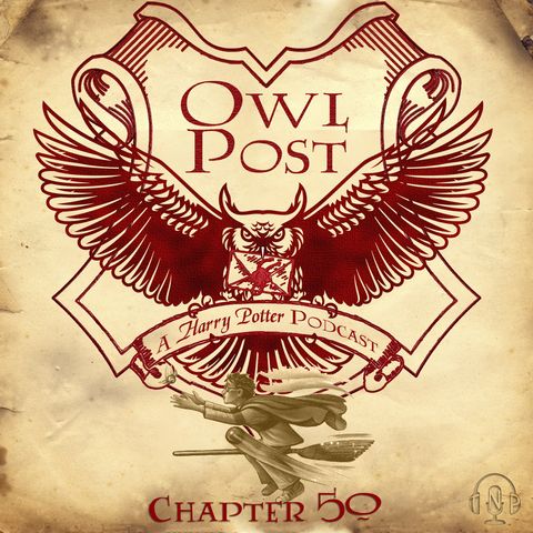 Chapter 050: The Quidditch Final