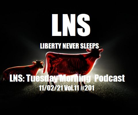LNS: Tuesday Morning  Podcast 11/02/21 Vol.11 #202