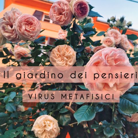 3. VIRUS METAFISICI - Il giardino dei pensieri