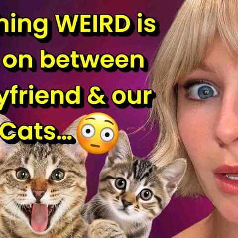 Plot Twist Reddit Stories