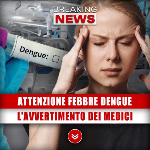 Attenzione Febbre Dengue: L'Avvertimento Dei Medici!