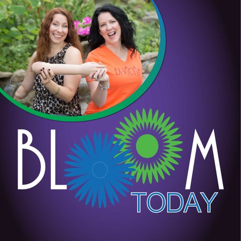 Bloom Today - Stopping the Spin Cycle