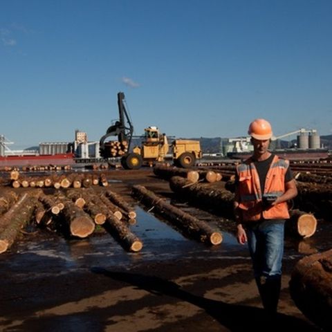 China’s Building Boom Revives Northwest Log Export Debate