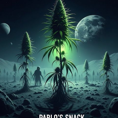 Pablos Snack