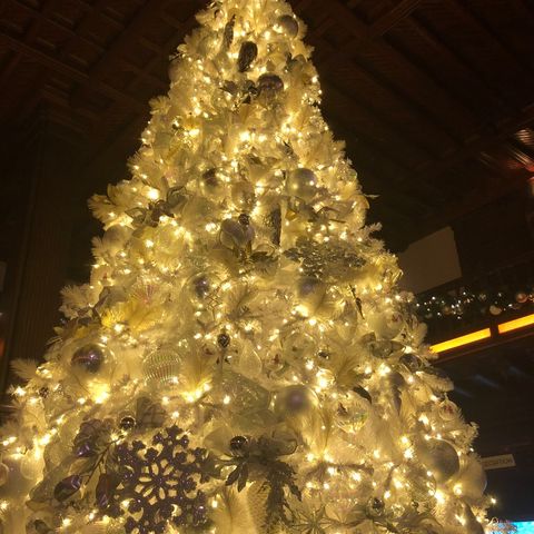 Christmas Trees, Lavender Products, Deer and Banking