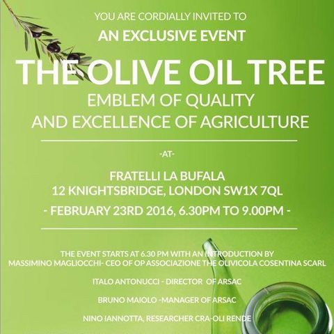 Evento promozione e valorizzazione d'olio extravergine di Calabria