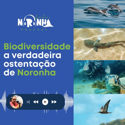 #Ep45 Biodiversidade: a verdadeira ostentação de Fernando de Noronha