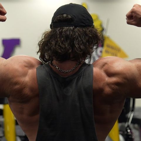 The Bulk Day 27 - Arms