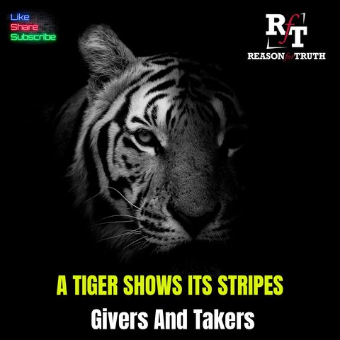 A Tiger Shows It's Stripes-GIVERS and TAKERS - 2:26:25, 6.20 PM