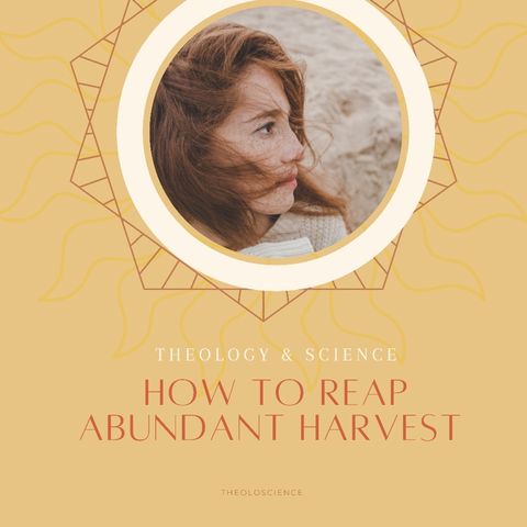 How to reap an abundant harvest