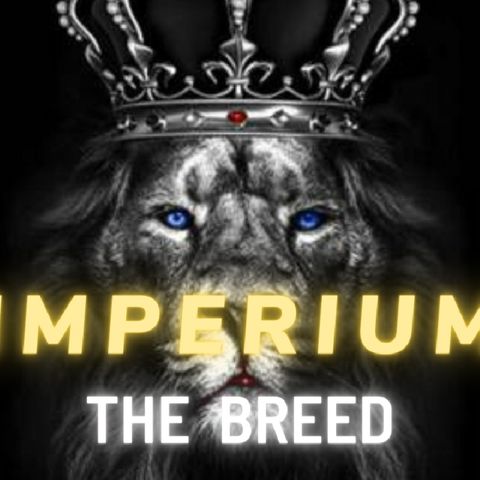 IMPERIUM ATTITUDE || ABSOLUTE POWERFUL MENTALITY