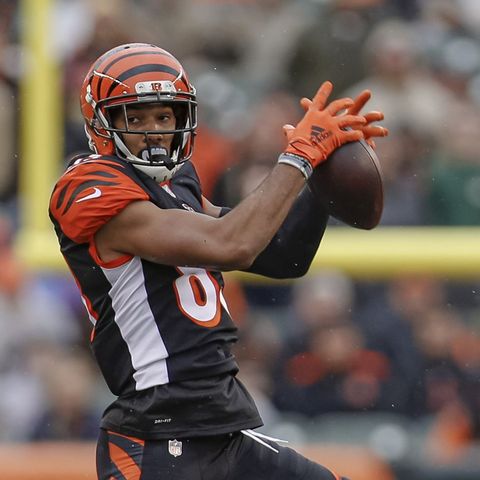 The NFL Show: State of the Franchise the Cincinnati Bengals