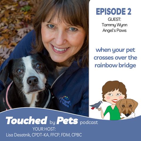 Episode 2: When Your Pet Crosses The Rainbow Bridge - Part 1