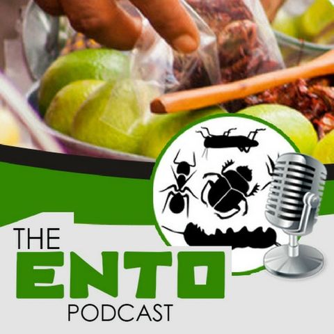 #21 - The Ento Podcast