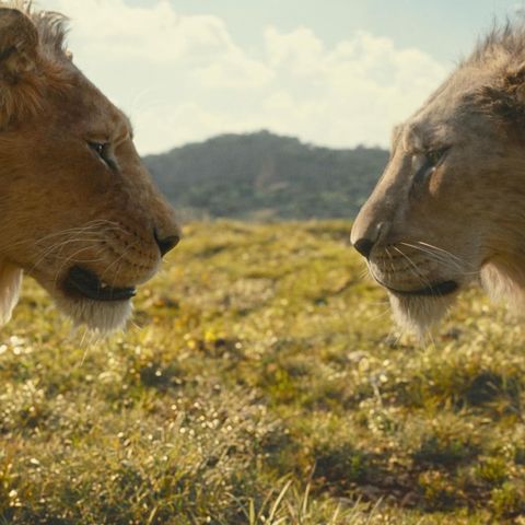 Mufasa, Sonic the Hedgehog 3 & Homestead 2024-12-19