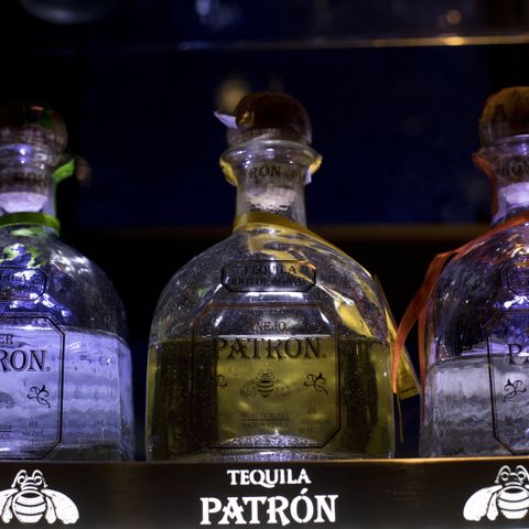 Patrick: National Tequila Day