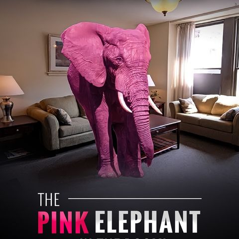 Final Summary: The Pink Elephant In The Room