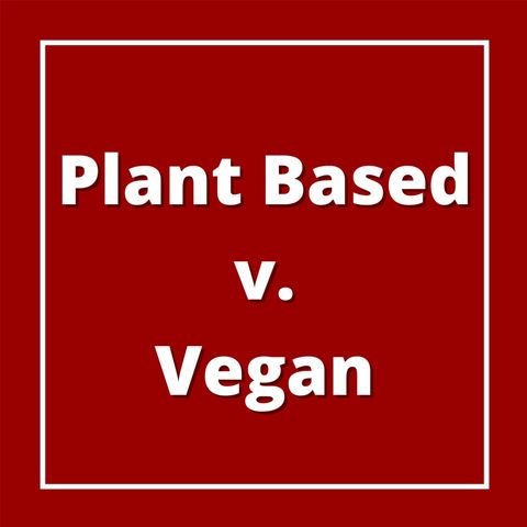 Difference Between Plant Based and Vegan: Our Guests Respond