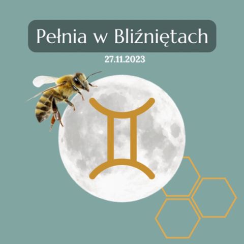 🌕♊️ Pełnia w Bliźniętach - 27.11.2023 - Pracowite pszczoły.