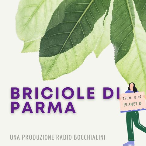 Briciole di Parma - Dove sta l'Acqua