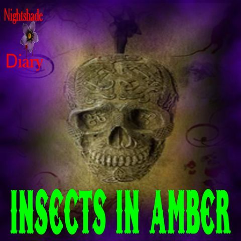 Insects in Amber | Weird Story | Podcast