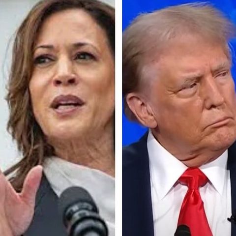 Mapping Out Why You Would Rather Be Kamala Harris Than Donald Trump