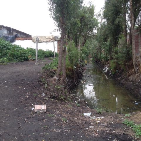 Navega Xochimilco