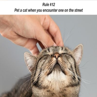 Brain and Bible: Rule #12 Pet a cat when you encounter one on the street