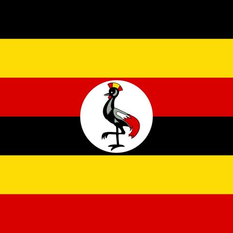 Ugandan Perspective Pt. 2:Nyakaisiki