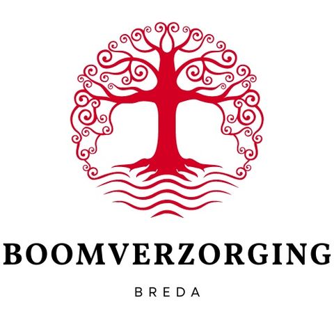 Alles over boomwortels en hun rol in de gezondheid van bomen