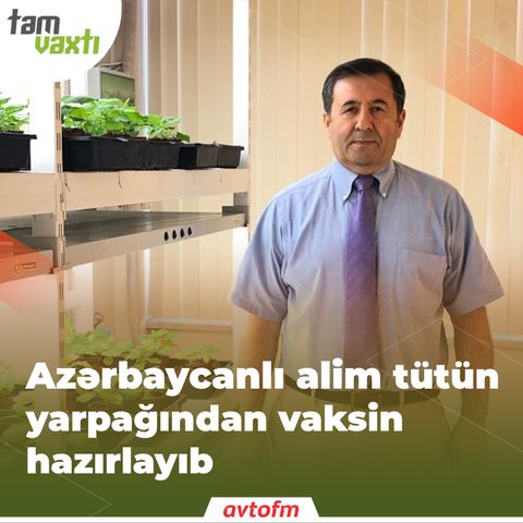 Azərbaycanlı alim tütün yarpağından vaksin hazırlayıb | Tam vaxtı #75