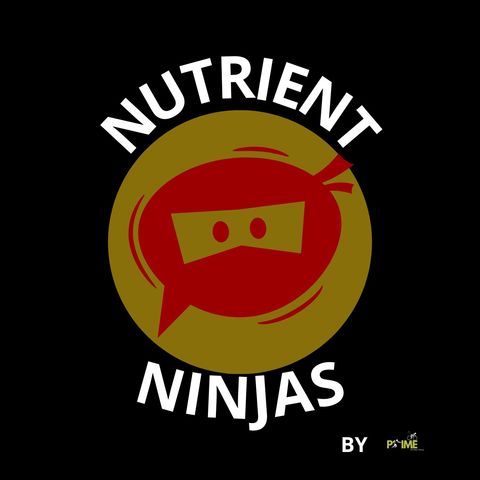 EPISODE #1 : Nutrition and its fairy tails.