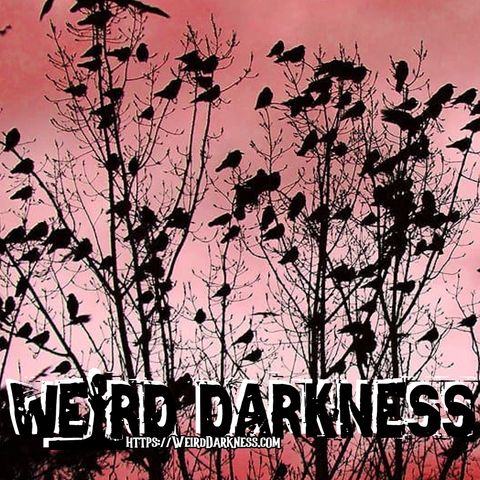 “MURDER OF CROWS” and 4 More Terrifying Creepypastas! #WeirdDarkness