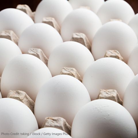 Scrambling for eggs? Volatility in the Egg Market