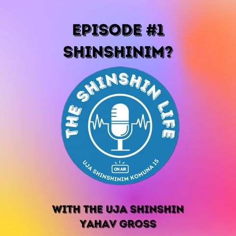 #1 ShinShinim?