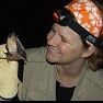Mylea Bayless - bat mortality