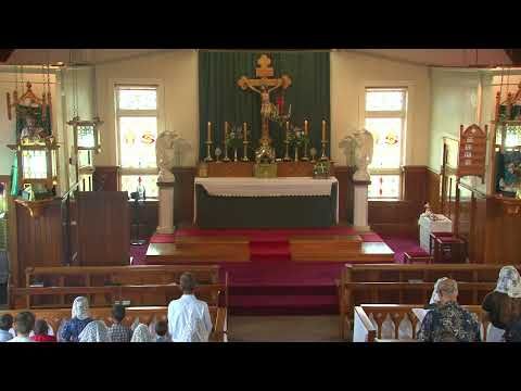 Holy (sung) mass. Third Sunday after  Epiphany - 21st January - FSSPX New Zealand