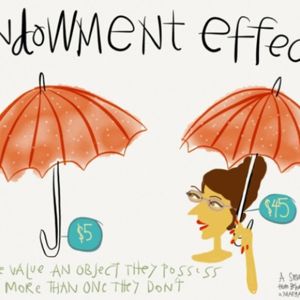 The endowment effect