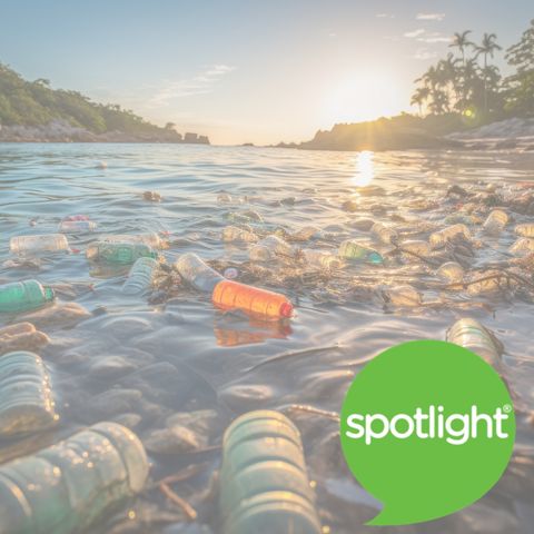 The Plastic Problem