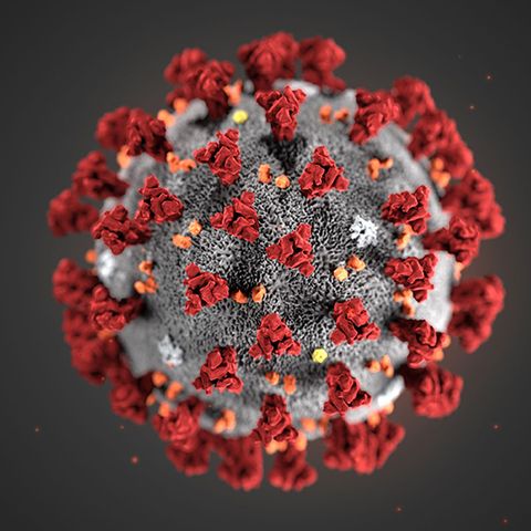 Speciale Coronavirus: una nuova pandemia globale?