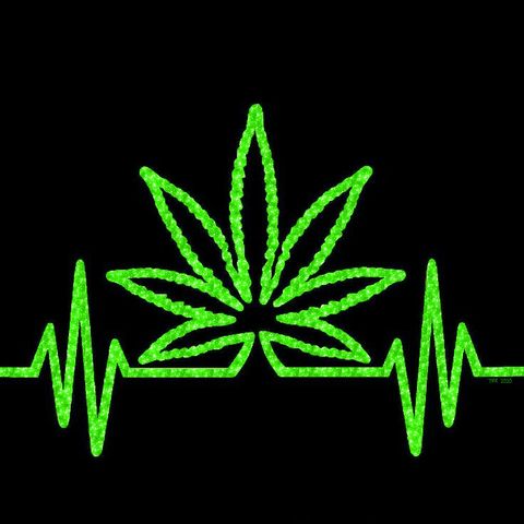 Cannabis legale 1