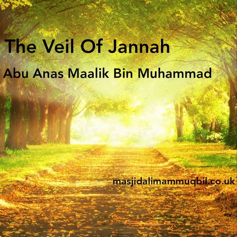 The Veil Of Jannah | Abu Anas Mālik bin Muhammad