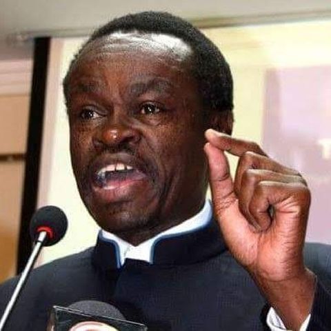 PROF. DR. PLO LUMUMBA GIVING A VIEW ON AFRICAN MINISTERS