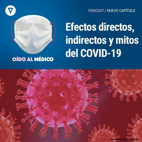 Capítulo 14: Efectos directos, indirectos y mitos del COVID-19