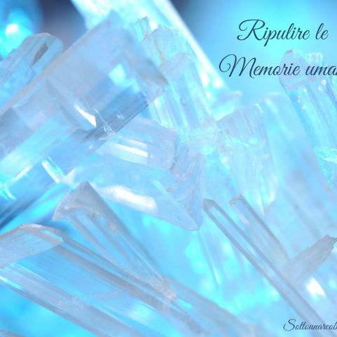 ✨Per Conoscere Cristal✨