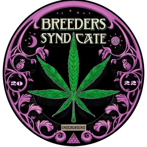 Cannabis Breeding Part 3 Breaking Down The Fillial Generations w Examples Blueberry & More S08 E11