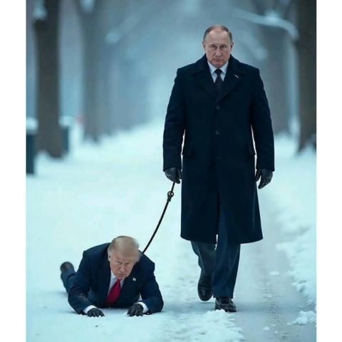 Trump VS Putin