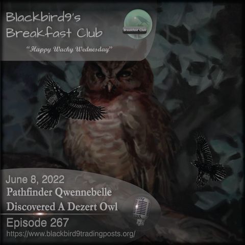 Pathfinder Qwennebelle Discovered A Dezert Owl - Blackbird9 Podcast